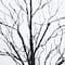 5ft. Pre-Lit Halloween Black Twig Artificial Tree with 240 Orange & Purple LED Lights